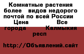 Комнатные растения более200видов недорого почтой по всей России › Цена ­ 100-500 - Все города  »    . Калмыкия респ.